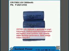 CR17505 3.0V 3000mAh est applicable aux instruments intelligents, équipement médical, transport et logistique, meubles intelligents.long service